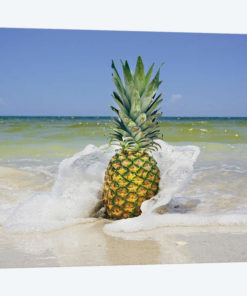 South Florida Pineapple IV