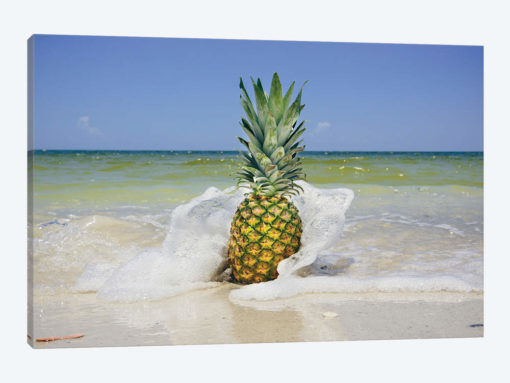 South Florida Pineapple IV