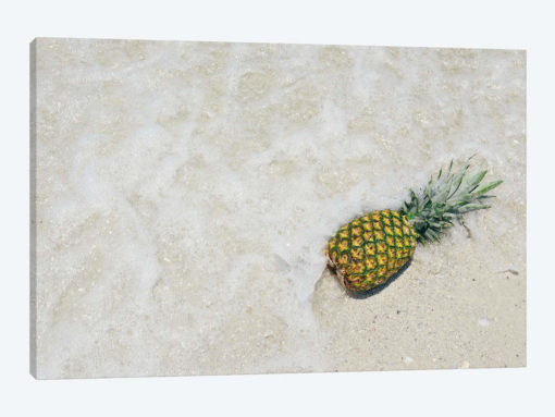 South Florida Pineapple V