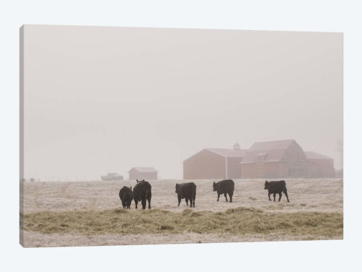 Farm Study IV