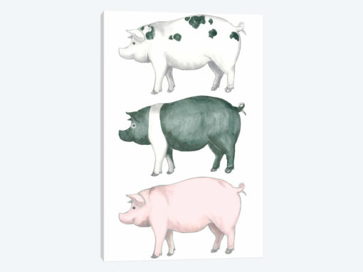 Piggy Wiggy Set