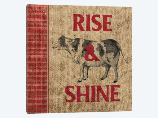 Rise & Shine Farm Fresh II