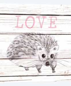 Hedgehog Love
