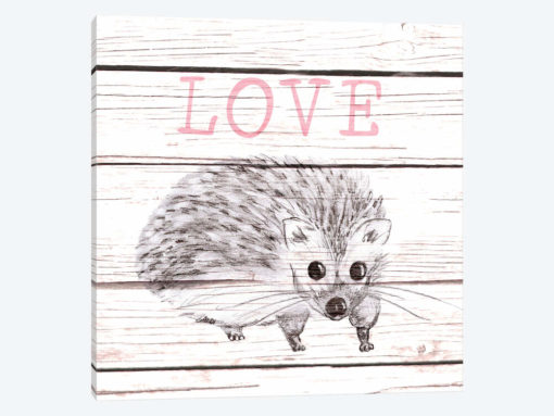 Hedgehog Love
