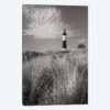 Big Sable Point Lighthouse I BW