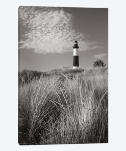 Big Sable Point Lighthouse I BW