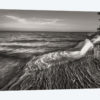 Pictured Rocks Michigan II BW