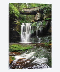 Elakala Falls West I