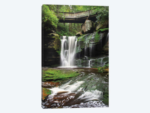 Elakala Falls West I
