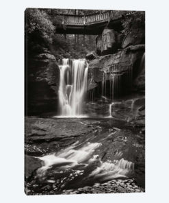 Elakala Falls West I in Black & White