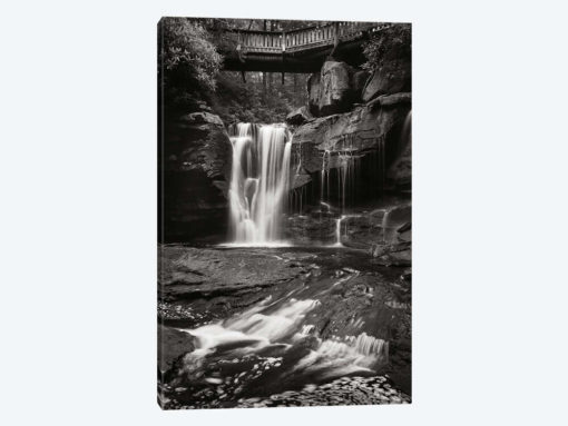 Elakala Falls West I in Black & White
