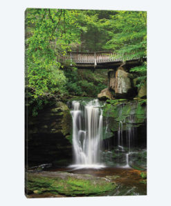 Elakala Falls West II