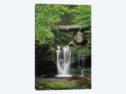 Elakala Falls West II