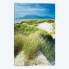 Oregon Dunes Grass