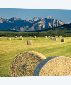Waterton Hay Bales