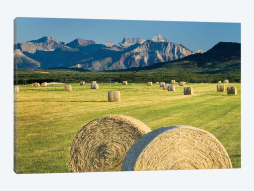 Waterton Hay Bales