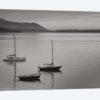 Bellingham Bay In Black & White