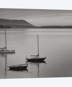 Bellingham Bay In Black & White
