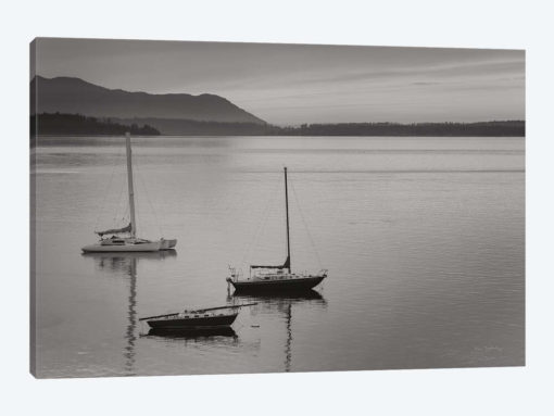 Bellingham Bay In Black & White
