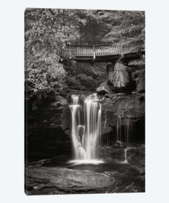 Elakala Falls West II in Black & White