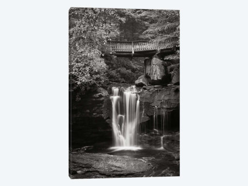 Elakala Falls West II in Black & White