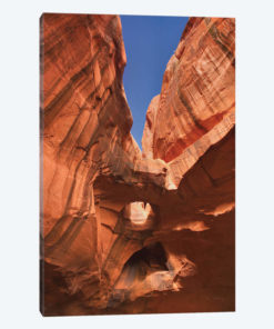 Neon Canyon I