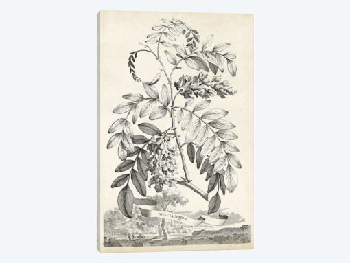 Scenic Botanical I