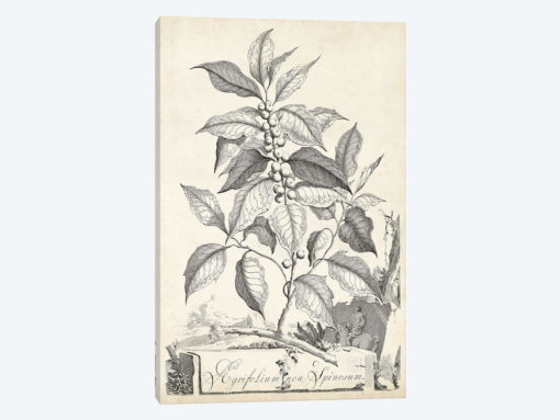 Scenic Botanical III