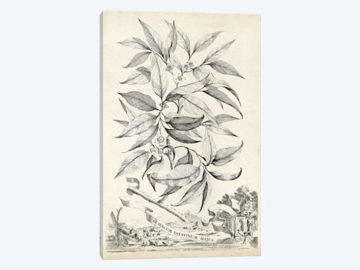 Scenic Botanical IV