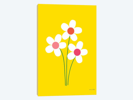 Daisies II