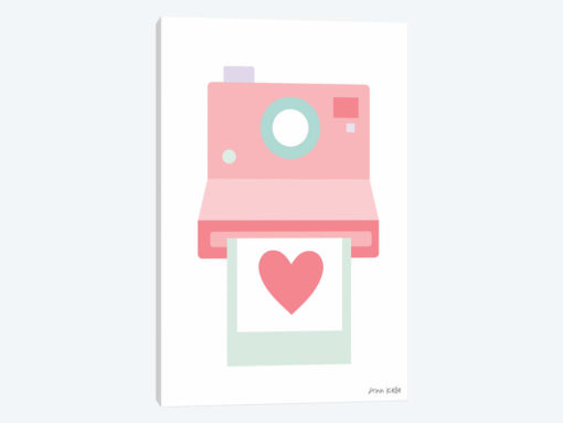 Polaroid Camera
