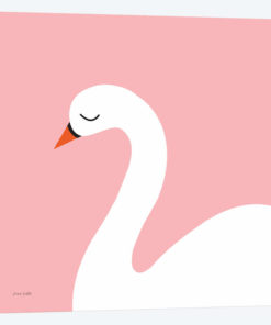 Swan