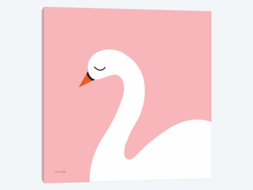 Swan
