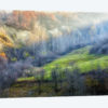 November Colors