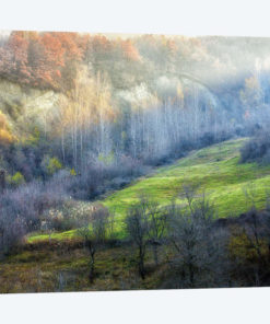 November Colors