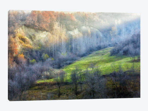 November Colors