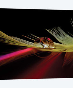 Colors In The Drop