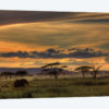Africa