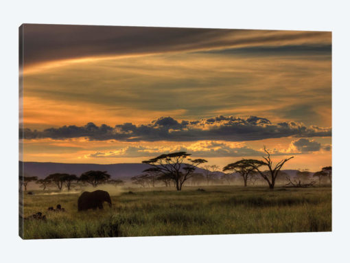 Africa