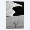 Dune Curves