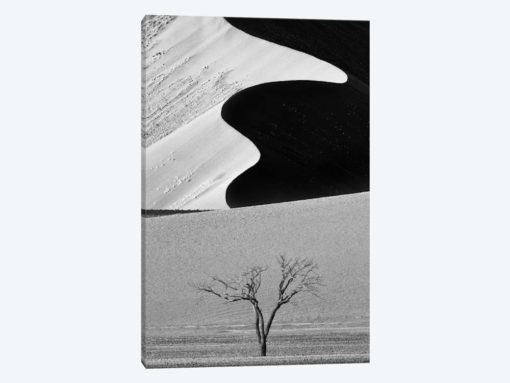Dune Curves