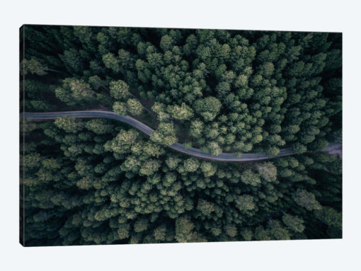 From Above II
