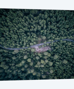From Above III