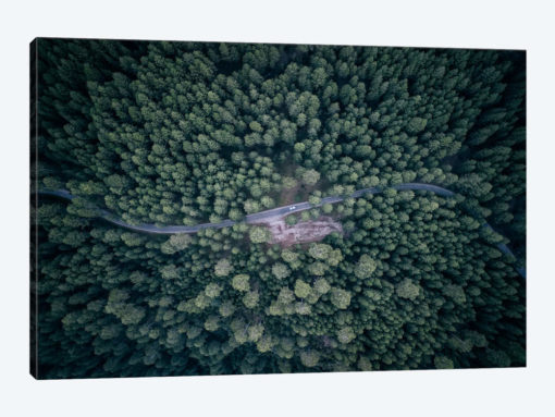 From Above III