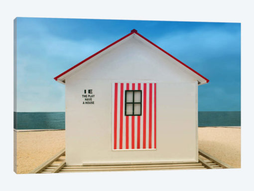 The Play Have A House