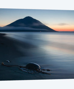 Fuji Etorofu