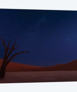 Stars And Dunes