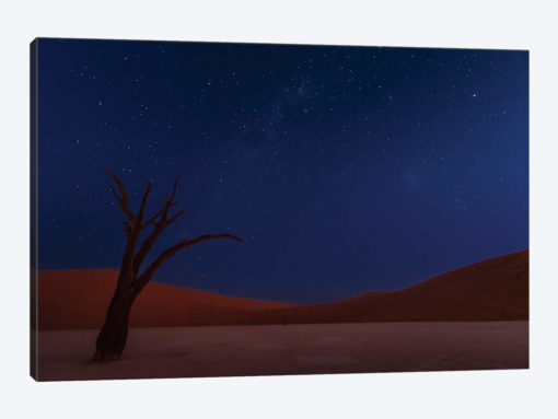 Stars And Dunes