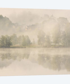 Early Morning