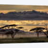 Good Evening Tanzania